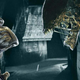 Alien Vs. Predator